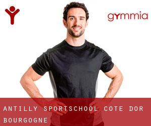 Antilly sportschool (Cote d'Or, Bourgogne)