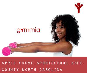 Apple Grove sportschool (Ashe County, North Carolina)