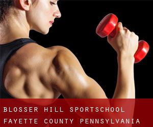 Blosser Hill sportschool (Fayette County, Pennsylvania)