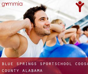 Blue Springs sportschool (Coosa County, Alabama)