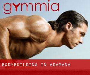 BodyBuilding in Adamana
