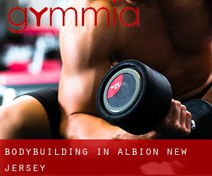 BodyBuilding in Albion (New Jersey)