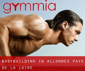 BodyBuilding in Allonnes (Pays de la Loire)
