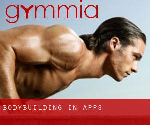BodyBuilding in Apps