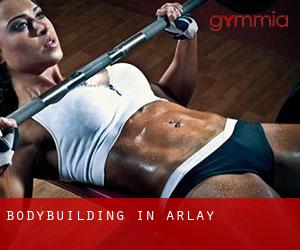 BodyBuilding in Arlay