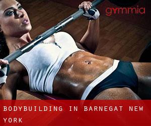 BodyBuilding in Barnegat (New York)