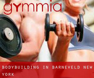 BodyBuilding in Barneveld (New York)