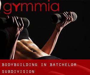 BodyBuilding in Batchelor Subdivision