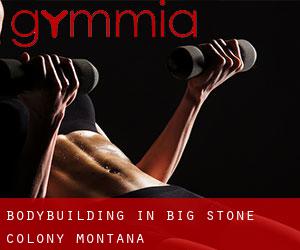 BodyBuilding in Big Stone Colony (Montana)