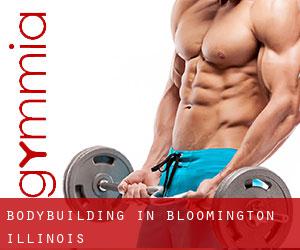 BodyBuilding in Bloomington (Illinois)