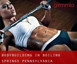 BodyBuilding in Boiling Springs (Pennsylvania)