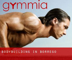 BodyBuilding in Borrego
