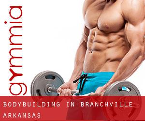 BodyBuilding in Branchville (Arkansas)