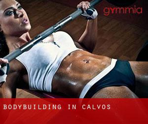 BodyBuilding in Calvos