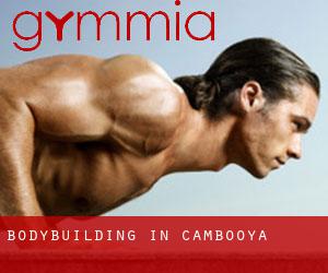 BodyBuilding in Cambooya