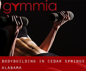 BodyBuilding in Cedar Springs (Alabama)