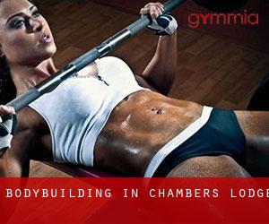 BodyBuilding in Chambers Lodge
