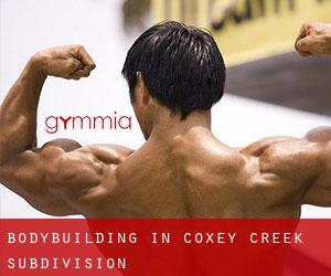 BodyBuilding in Coxey Creek Subdivision