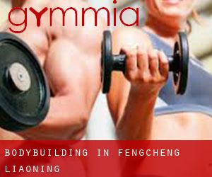 BodyBuilding in Fengcheng (Liaoning)