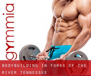 BodyBuilding in Forks of the River (Tennessee)