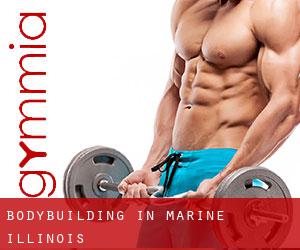 BodyBuilding in Marine (Illinois)