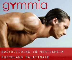 BodyBuilding in Mertesheim (Rhineland-Palatinate)