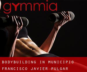 BodyBuilding in Municipio Francisco Javier Pulgar