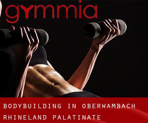 BodyBuilding in Oberwambach (Rhineland-Palatinate)