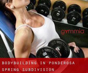BodyBuilding in Ponderosa Spring Subdivision