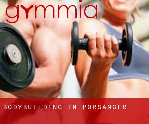 BodyBuilding in Porsanger