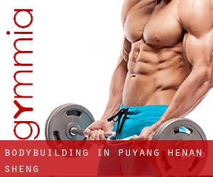 BodyBuilding in Puyang (Henan Sheng)
