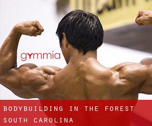 BodyBuilding in The Forest (South Carolina)