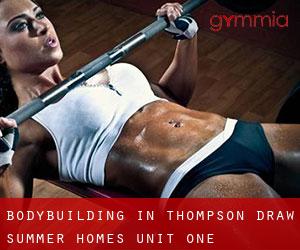 BodyBuilding in Thompson Draw Summer Homes Unit One