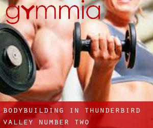 BodyBuilding in Thunderbird Valley Number Two