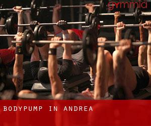 BodyPump in Andrea