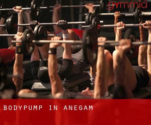 BodyPump in Anegam