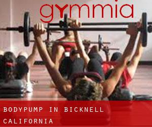 BodyPump in Bicknell (California)