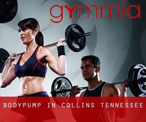 BodyPump in Collins (Tennessee)