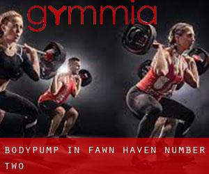 BodyPump in Fawn Haven Number Two