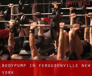 BodyPump in Fergusonville (New York)