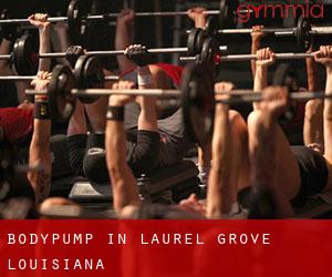 BodyPump in Laurel Grove (Louisiana)