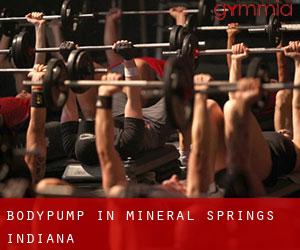 BodyPump in Mineral Springs (Indiana)