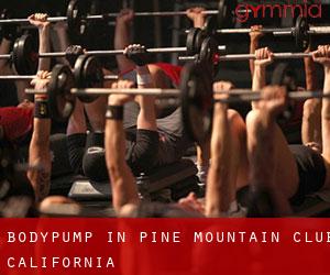 BodyPump in Pine Mountain Club (California)