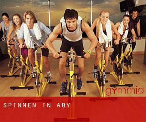 Spinnen in Aby