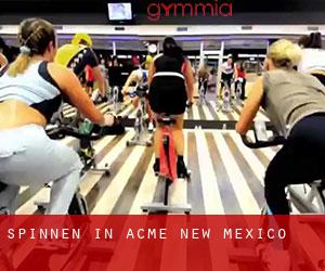 Spinnen in Acme (New Mexico)