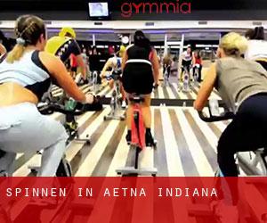 Spinnen in Aetna (Indiana)