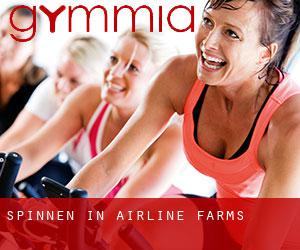 Spinnen in Airline Farms