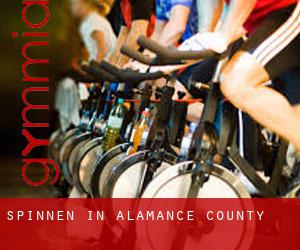 Spinnen in Alamance County