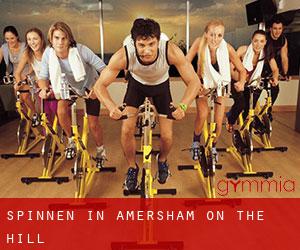 Spinnen in Amersham on the Hill