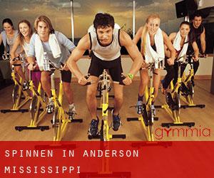Spinnen in Anderson (Mississippi)